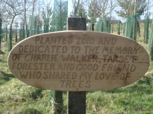 bespoke, commissioned work, Tarset, Northumberland