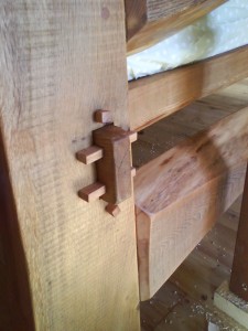 interact with the timber, look for its strength