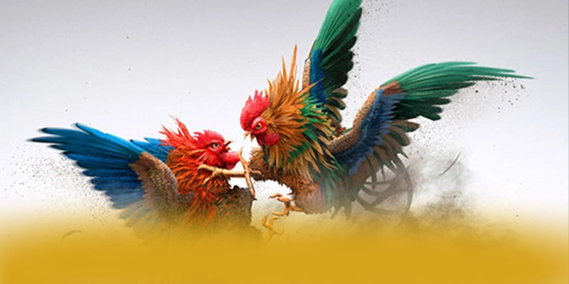 An toàn tài khoản tại [THUONG_HIEU]