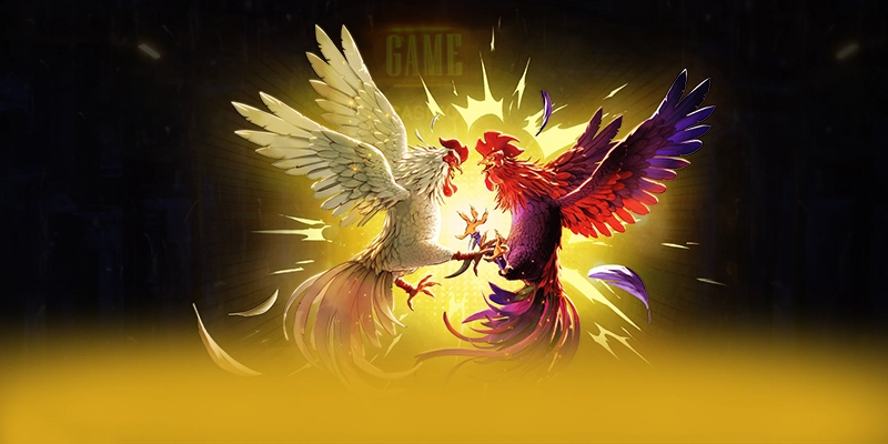 Nhận xét từ thành viên đã trải nghiệm về BET88